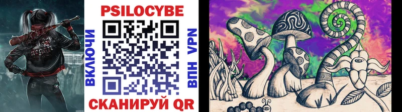 Псилоцибиновые грибы Magic Shrooms  Купить закладки  Калачинск 